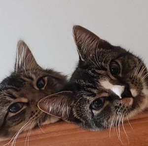 Meet your Posher, Tara